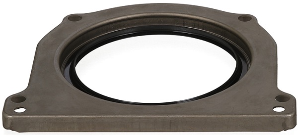 ELRING 455.420 Shaft Seal,...